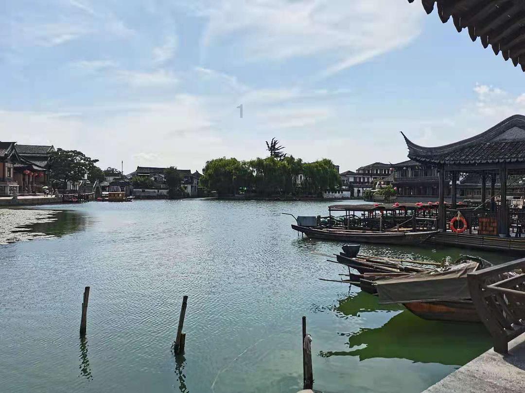 拯救蝙蝠家族